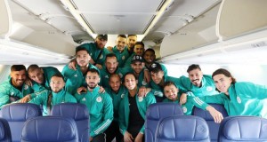 Les Verts(1)