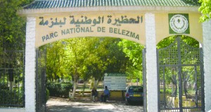 Parc national de Belezma