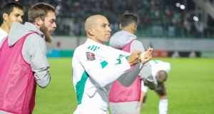 Feghouli