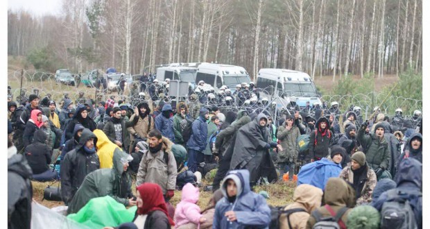 Migrants à la frontière Pologne-Bélarus