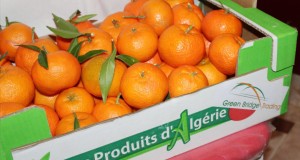 Préparer un produit agricole exportable