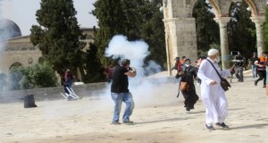 palestinep2