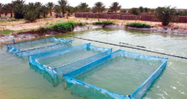 Acquaculture