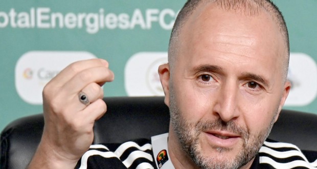 Belmadi-8
