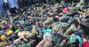Migrants
