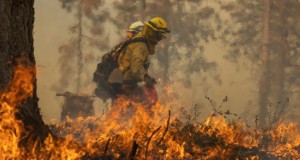 Un violent incendie continue de s'étendre en Californie