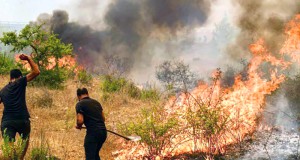 incendiep4