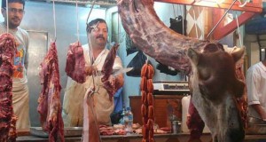 viande de cameline