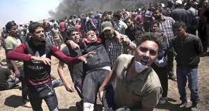 palestinep5