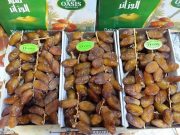 AVEC 185 000 TONNES EN 2025 : L’Algérie premier exportateur de dattes en Afrique