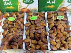 AVEC 185 000 TONNES EN 2025 : L’Algérie premier exportateur de dattes en Afrique