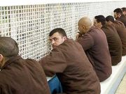 LA DÉRIVE FASCISTE DU POUVOIR SIONISTE : « Guerre contre les prisonniers palestiniens »