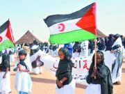 SAHARA OCCIDENTAL : Le Front Polisario rejette le projet de résolution américain