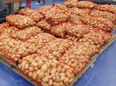 LE PRIX DE LA POMME DE TERRE PLAFONNÉ : 80 DA le kilo