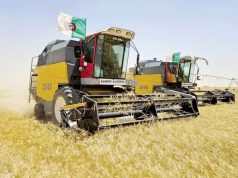 PRODUCTION NATIONALE DES CÉRÉALES : Vers une collecte des données fiables à la source