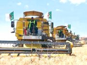 SÉCURITÉ ALIMENTAIRE : Produire nos propres semences et plants