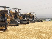 Oran : Opération de validation des compétences des conducteurs d’engins de moisson-battage