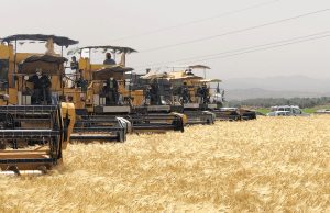 Oran : Opération de validation des compétences des conducteurs d’engins de moisson-battage