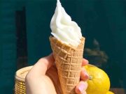 Le sorbet algérien « Créponné » classé premier en Afrique et dans le monde arabe