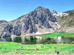 Parc national du Djurdjura : Installation du comité de gestion de la réserve de biosphère