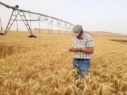 ACCOMPAGNEMENT DES INVESTISSEMENTS AGRICOLES DANS LE SUD : Des mécanismes de financement innovants en préparation