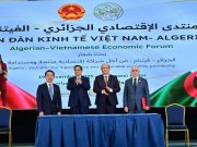 ALGÉRIE – VIETNAM : Sur la voie d’un partenariat stratégique