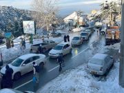 Blida : Affluence notable de visiteurs vers les hauteurs de Chréa suite aux chutes de neige