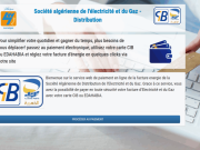 Factures d’électricité et de gaz : Plus de 27 millions DA réglés en ligne en trois mois à Constantine