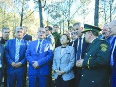 FORÊTS DE TIPASA : Krikou lance l’opération reboisement