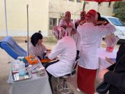 Octobre rose : Sensibilisation et dépistage de plus de 65.000 femmes à Oran