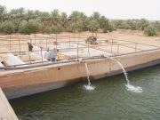 Adrar : Aquaculture saharienne, Une filière prometteuse pour renforcer la sécurité alimentaire Adrar : Aquaculture saharienne, Une filière prometteuse pour renforcer la sécurité alimentaire