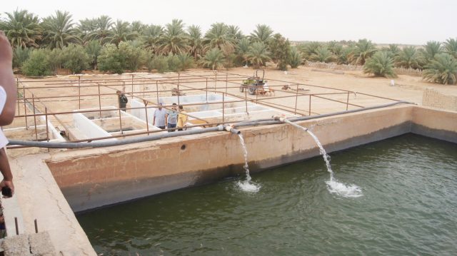 Adrar : Aquaculture saharienne, Une filière prometteuse pour renforcer la sécurité alimentaire Adrar : Aquaculture saharienne, Une filière prometteuse pour renforcer la sécurité alimentaire