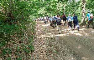 Béjaïa : Vers le classement du massif forestier d’Akfadou en aire protégée