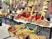Salon des dattes à Biskra : Les produits algériens répondent aux normes des marchés mondiaux