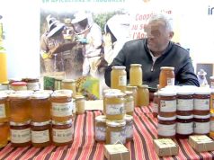 Tizi-Ouzou : 40 apiculteurs à la Foire des miels du massif du Djurdjura