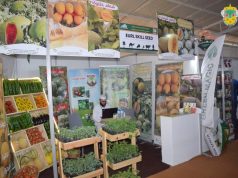 9e Salon de l’agriculture saharienne à El-Oued : Nécessité de renforcer l’accompagnement technique des agriculteurs