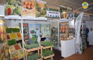 9e Salon de l’agriculture saharienne à El-Oued : Nécessité de renforcer l’accompagnement technique des agriculteurs