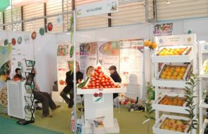 9e salon de l’agriculture saharienne : Une centaine d’exposants attendus à El Oued