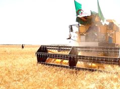 CONSEIL DES MINISTRES : 2026, une année pour l’agriculture