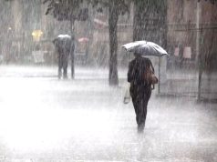 Pluies orageuses sur plusieurs wilayas du pays