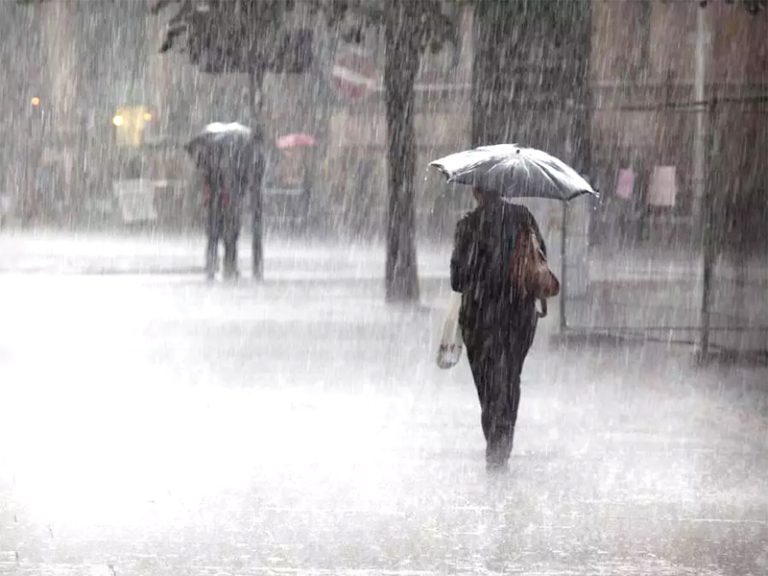 Pluies orageuses sur plusieurs wilayas du pays 
