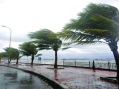 PLUSIEURS WILAYAS CONCERNÉES : Des vents forts pouvant atteindre 120 km/h