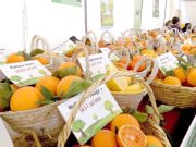 Ouverture à Blida du Salon régional des agrumes avec la participation de 70 exposants