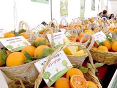 Ouverture à Blida du Salon régional des agrumes avec la participation de 70 exposants