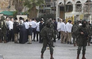 Cisjordanie occupée : Les attaques des colons se poursuivent avec une impunité quasi totale