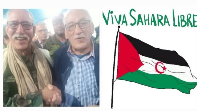 Ph CONTRIBUTION RASD