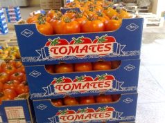 LES PRODUCTEURS EUROPEENS DE TOMATE DENONCENT : « Une concurrence déloyale et un accord Maroc – UE hors la loi »