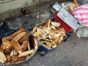 Tizi-Ouzou : Lancement d’une campagne de sensibilisation contre le gaspillage alimentaire