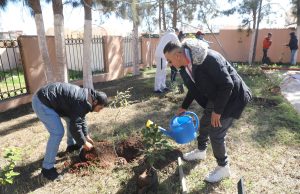 POUR UNE ALGÉRIE PLUS VERTE ET PLUS DURABLE : 5 millions d’arbres à planter samedi prochain