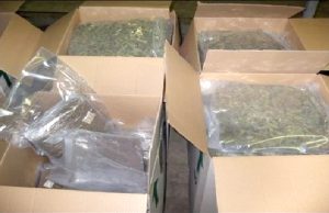 Plus de 20 quintaux de tabac à chiquer contrefait saisis à Bejaïa